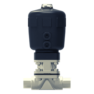 Pneumatic Diaphragm Valve