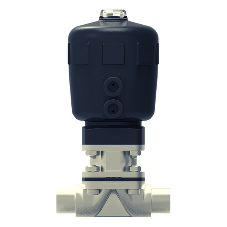 Pneumatic Diaphragm Valve